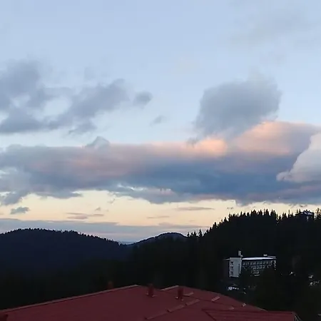 Boutique & Artistic 3 Bedroom Apartment. * Pamporovo