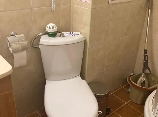 Boutique & Artistic 3 Bedroom Apartment. Apartment Pamporovo